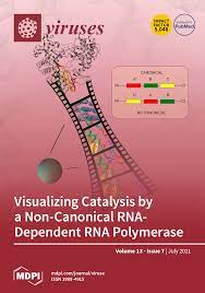 Maybe you would like to learn more about one of these? 2erotpvr88y3um