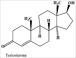› steroid hormone testosterone anabolic steroid chemical structure, others. The Chemical Structure Of Testosterone Download Scientific Diagram