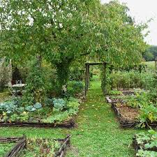 Gorgeous Raisedbeds Inspiration Garden Vegetablegarden Farm Homestead Homegrown Planting Potag Vegetable Garden Raised Beds Vegetable Beds Raised Garden Layout