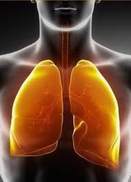Check spelling or type a new query. 6 Early Signs Of Lung Cancer That You Shouldn T Ignore Lifestyle News