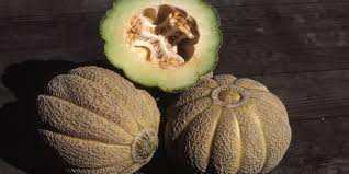 Grows well in auburn, citrus heights. In The Garden Plan Now For Muskmelon Harvest In August Gardening