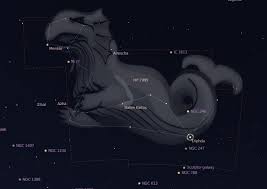 I segni zodiacali sono le 12 sezioni in cui è diviso lo zodiaco, e misurano 30° ciascuno e prendono il nome dalle costellazioni che fanno parte dello zodiaco. Cetus Conosci Te Stesso