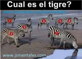 Velocidad=300 km/hr combustible=4horas de vuelo viento a favor de ida=50 km/hr viento en contra de regreso= 50 km/hr velocidad mxima de ida= 350 km/hr. Pin En Bpin