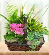 Cveće za indiana west lafayette nudi iсti dan doсtava boja za indiana west lafayette po vrlo niсkim cenama. Fayette Indiana Florist Avas Flowers