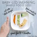 Image result for what to feed a 6 month old for lunch
