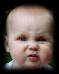 2008 Annual Report Paragraphs: