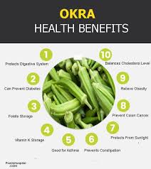 Okra 13 Best Health Benefits Of This Super Plant Try It Now Okra Health Benefits Okra Benefits Healthy Benefits