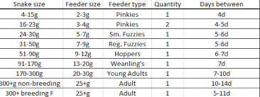 Corn Snake Feeding Chart My Files File Catalog Repticake