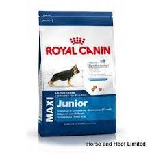 Royal Canin Maxi Junior 4 Kg Royal Canin Dog Food Dog Food Recipes Dog Food Online
