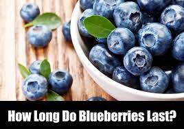 How Long Do Blueberries Last Kitchensanity
