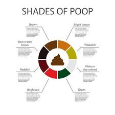 Image result for dark black stool human poop