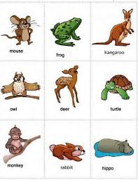 Maybe you would like to learn more about one of these? 8700 Gambar Dan Nama Hewan Dalam Bahasa Indonesia Terbaik Gambar Hewan
