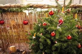 Als weihnachtsdeko erlebt das nordische tier aus der hirschfamilie aber einen extremen boom und findet seinen platz nicht nur am schlitten des weihnachtsmannes. Naturliche Weihnachtsdeko Fur Den Balkon Garten Fraulein Der Garten Blog