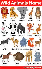 Look up your favourite big animal, and see what makes it so special! Wild Animals Name List With Pictures In English In 2021 Animals Name List Wild Animals Name List Animals Wild