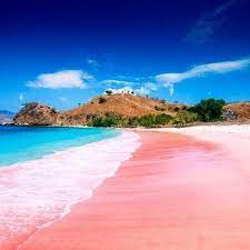 Pink Beach Komodo National Park Flores Island Indonesia Australia Travel Beautiful Places Beach Wallpaper Beach