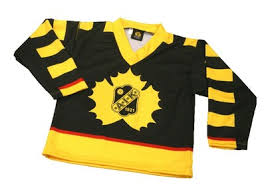 1985 blev ishockeyn fristående och klubben bytte namn till skellefteå hockey club, men 1991 återtogs namnet skellefteå aik. Martins Hockeyblogg