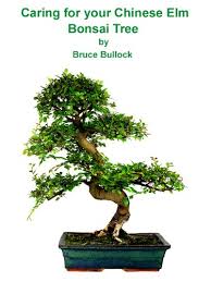 The important thing to remember is that a bonsai is a tree, and has a tree's needs. Caring For Your Chinese Elm Bonsai Tree Ebook Bullock Bruce Amazon Co Uk Kindle Store