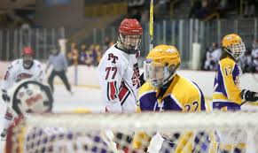 Top-seeded Peters Twp. survives feisty Plum