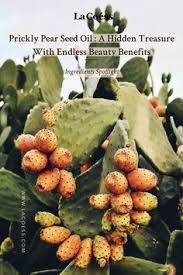 5 best juice recipes for fast weight loss. 9 Cactus Benefits Ideas Cactus Benefits Cactus Cactus Recipe