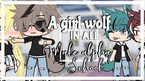 I decided to make a gacha life music video. A Girl Wolf In All Male Alpha School Glmm Gacha Life Mini Movie Part 1 Youtube