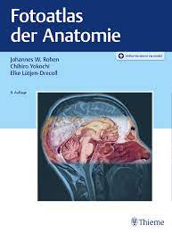 Inklusive 12 monate anatomie in via medici und dem lernposter anatomie. Fotoatlas Der Anatomie 9783132431799 Thieme Webshop