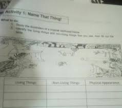 Check spelling or type a new query. All Of The What Is The Other Term For Living Organisms Brainly