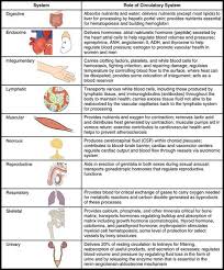 Interaction Of The Circulatory System With Other Body