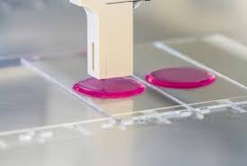 Gelatin Bio Ink Could Lead To 3d Printed Organs Engineering Com 3d Printing Technology 3d Printing Human Tissue
