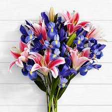 We did not find results for: Birthday Spectacular Frills Send Birthday Lillies Online In Pakistan Proflowers Pk