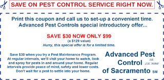 Pest control for businesses in san jose. Advanced Pest Control Of Sacramento Advanced Pest Control