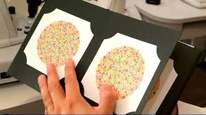 Mengapa Tes Buta Warna Polisi Bisa Menjegal Kamu di Rikkes?