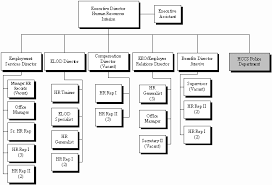 vanias sight organization chart job description of