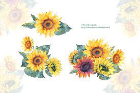 Watercolor Sunflowers Png Cliparts Clip Art Sunflower Etsy Watercolor Sunflower Sunflower Png Clip Art