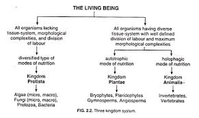 The Kingdom System Of Organisms Classification Top 6 Concepts