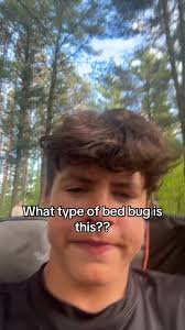 How Old Is Gavin Everett