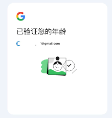 google ai studio设置中文- 抖音