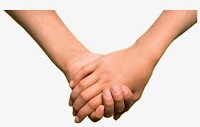 Group of people holding hand together in the park. Praying Hands Png Holding Hands Transparent Background Png Image Transparent Png Free Download On Seekpng