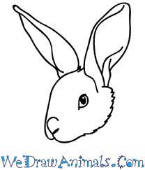Maybe you would like to learn more about one of these? How To Draw A Rabbit Face