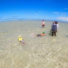 可愛いですね 天国の海 は遠浅なので ファミリーでハワイの海で遊ぶならピッタリですね captainbruce sandbar kaneohe hawaii oahu oahulife ahuolaka キャプテンブルース 天国の海 アフオラカ ハワイ 天国の海 カネオヘ オアフ島