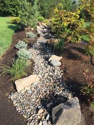 A Lawn Replaced With A Dry Creek Bed Contributed By Allen Wilson Lawn Free Yard Front Lawn Landscaping River Rock Landscaping