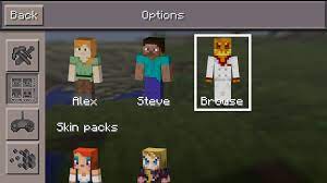 How To Use A Custom Skin In Minecraft Pocket Edition Toucharcade