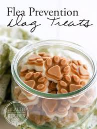 35 Homemade Pet Recipes For Dogs And Cats Dog Food Recipes Make Dog Food Dog Treat Recipes