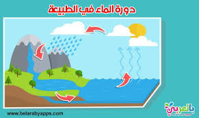 بحث عن دورة الماء في الطبيعة حالات الماء موضوع تعبير عن الماء سر الحياة دورة الماء في الطبيعة موضوعات بحثية ل In 2020 Fictional Characters Family Guy Character