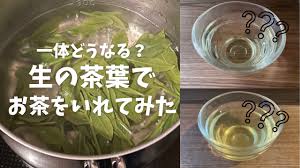 煮出し 緑茶