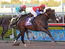 You And I Forever Profile News Entries Results Video And Blogs Thoroughbred Horse Racing Thoroughbred Horses
