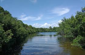 Fred Howard Park Trail, Florida