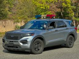 Image result for Stone Gray 2024 Responder