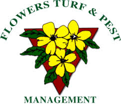 Get to the root of your lawn care problems—from identifying different types of grass to weed and pest control. Lawn Care Pest Control Services Flowers Turf Pest Management