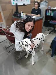 Paradise Valley Rescue added a...