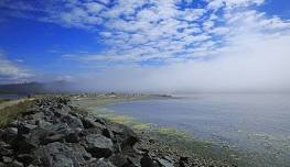 Whiffin Spit Beach Cleanup - Surfrider South Vancouver Island
